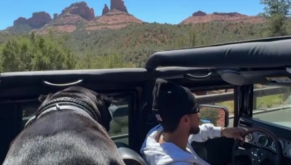 布克驾悍马携爱犬出游 独行时光萌宠相伴